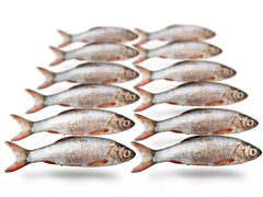 Doodaas Zilverwinde (Alleen afhalen in de winkel)