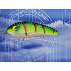 Dekker Custom Baits Crazy Shad Medium Shallow