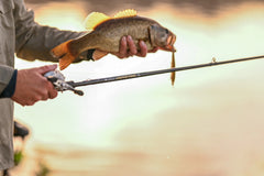 St. Croix Legend Xtreme Spinning