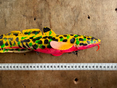 SG Burbot 50cm Disco