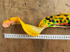 SG Burbot 50cm Disco