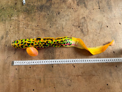 SG Burbot 50cm Disco