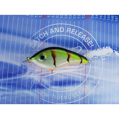 Dekker Custom Baits Crazy Shad Small Shallow