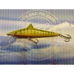 Van Bruchem Pluggenbouw Shark