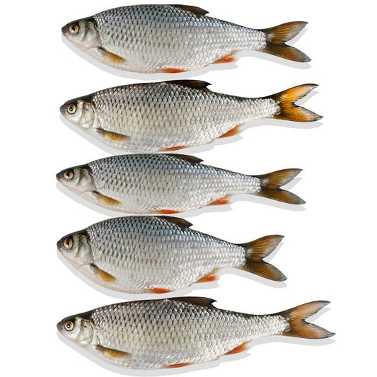 Doodaas Voorn (alleen afhalen in de winkel)