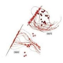 Hotspot Geknoopte Stuitjes