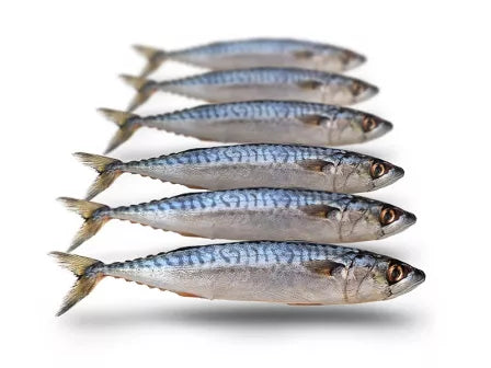 Doodaas Makreel (alleen afhalen in de winkel)