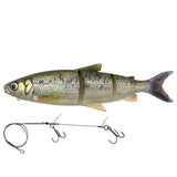 3D Line Thru Whitefish 22cm