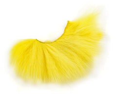 Arctic Fox Body Hair