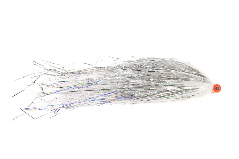 Bauer's Tubenfliege