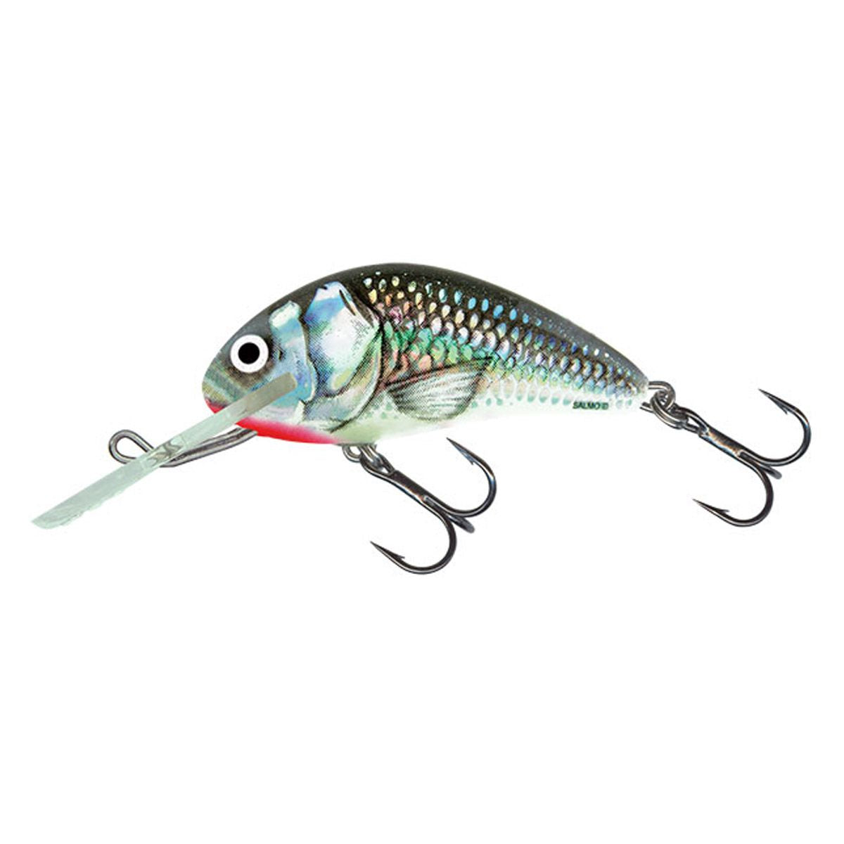 Salmo Hornet Floating 6cm