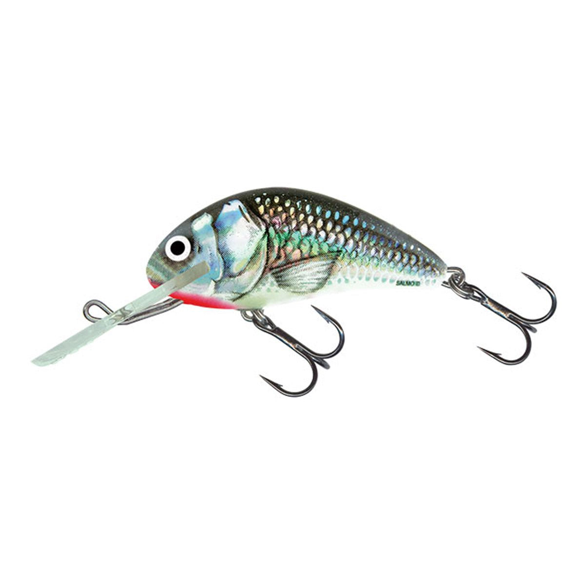 Salmo Hornet Sinking 6cm
