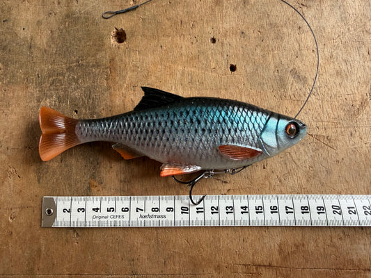 SG Line Thru Pulse Tail Roach 18cm Bleu