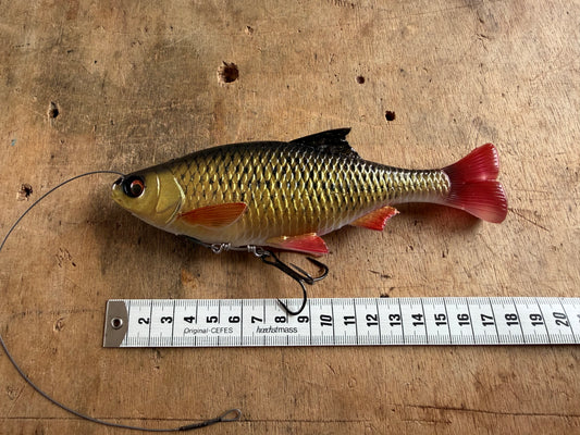 SG Line Thru Pulse Tail Roach 18cm Or