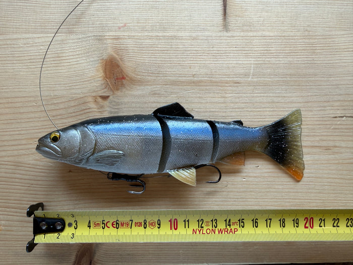 SG Line Thru Trout 20cm Silver