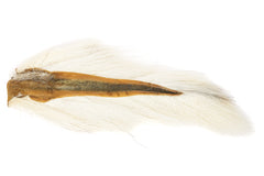 Nature's Spirit Bucktail Large