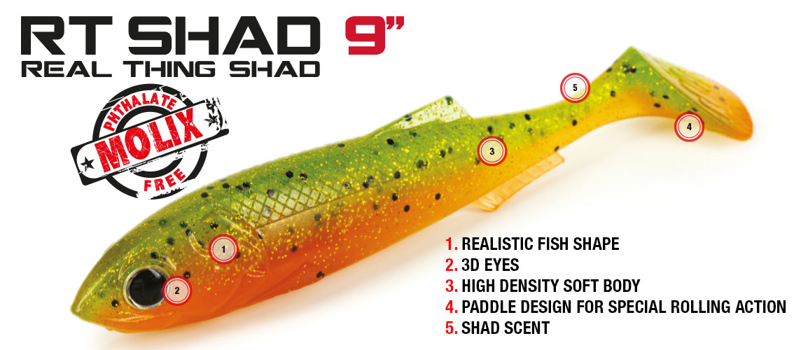 Molix RT Shad 9"