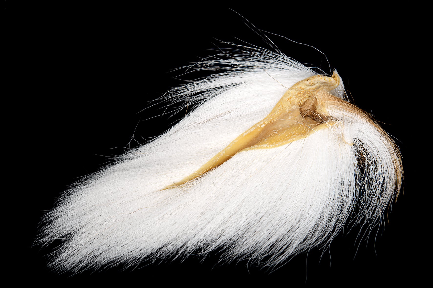 Fly Dressing Bucktail Medium