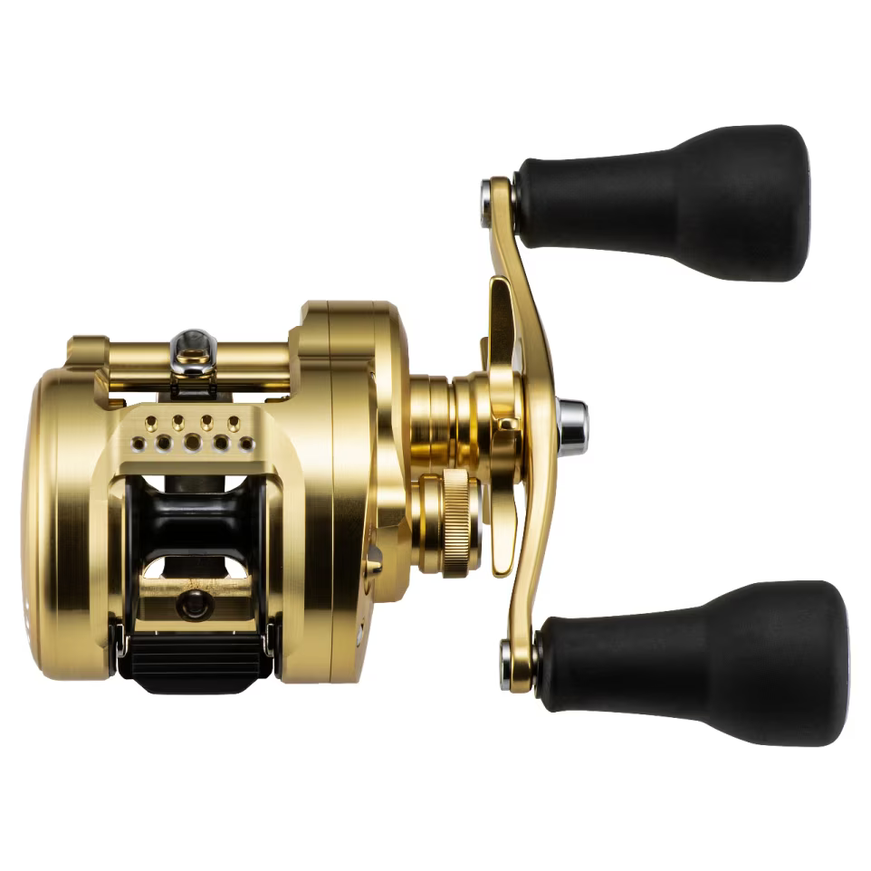 Shimano Calcutta Conquest MD