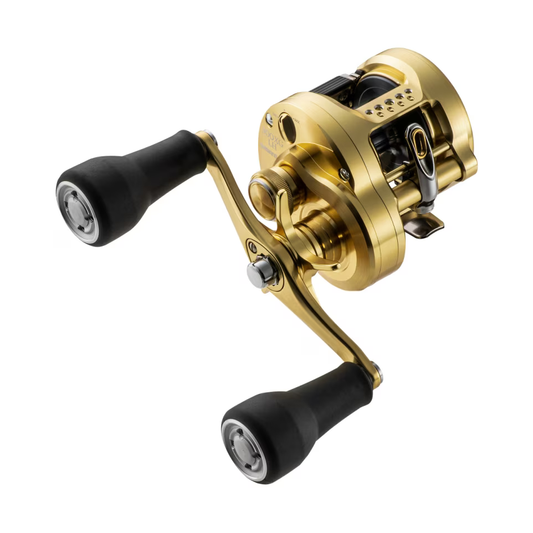 Shimano Calcutta Conquest MD