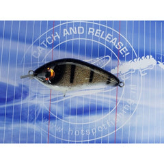 Dekker Custom Baits Crazy Shad Small Shallow
