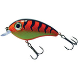 Predox Big Eye Joe