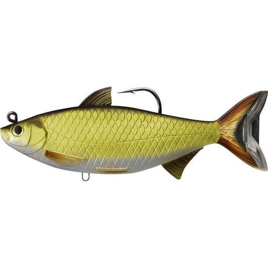 Live Target Golden Shiner