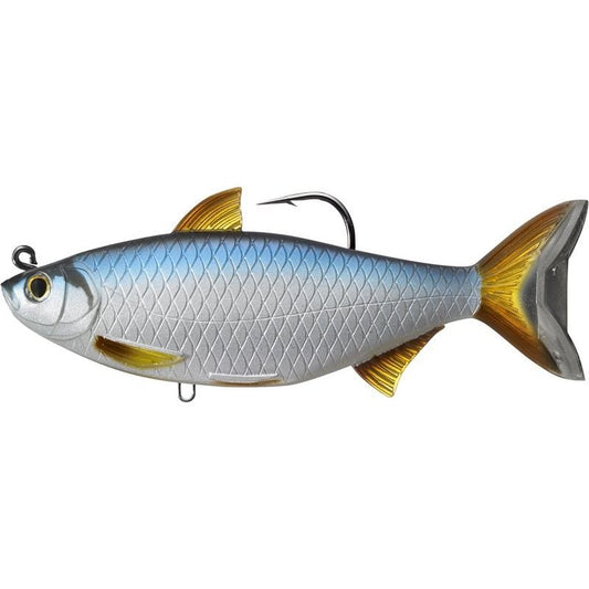 Live Target Golden Shiner